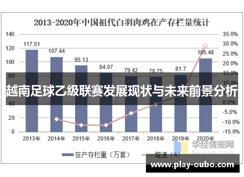 越南足球乙级联赛发展现状与未来前景分析