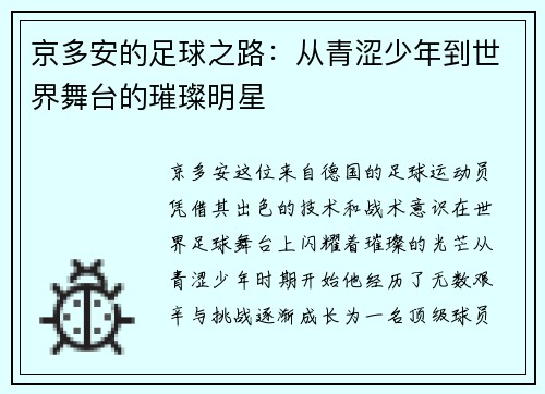 京多安的足球之路：从青涩少年到世界舞台的璀璨明星